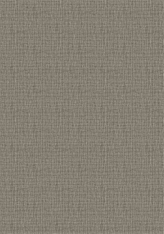 Bartack Graphite Imagine Figurative Collection Area Rug