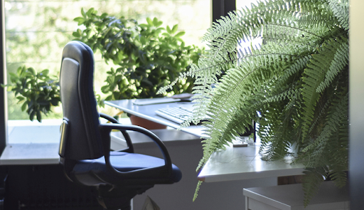 Beautiful office space