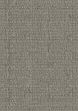 Bartack Graphite Imagine Figurative Collection Area Rug