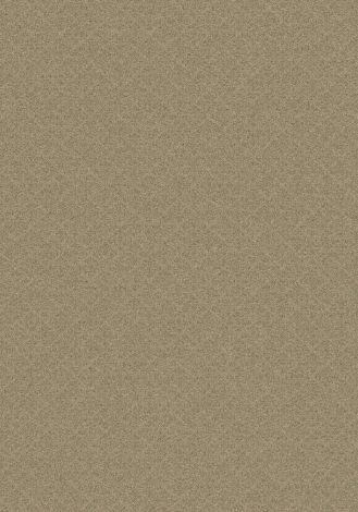 Stencils Sungold Imagine Figurative Collection Area Rug
