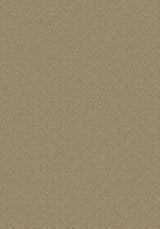 Stencils Sungold Imagine Figurative Collection Area Rug