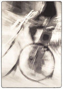 Leisure Ride Grayscale In the Moment Collection Area Rug