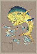 Bull Dolphins And Flyers Guy Harvey Collection Area Rug