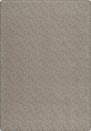 Graceful Garden Silver Ash Imagine Figurative Collection Area Rug
