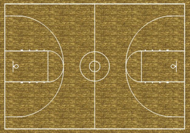 Hoopster Theme Rugs 2 Collection Area Rug