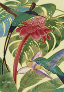 Hummingbird Guy Harvey Collection Area Rug