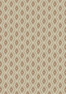 La Casa Warm Clay Imagine Figurative Collection Area Rug