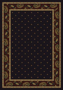 Paisley Onyx Innovations Collection Area Rug