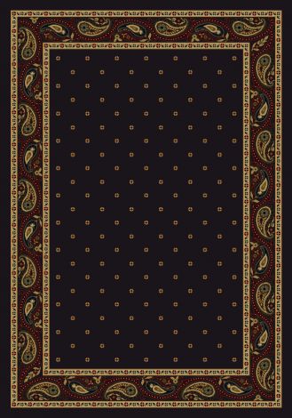 Paisley Onyx Innovations Collection Area Rug