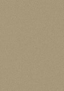 Parkdale Manila Imagine Figurative Collection Area Rug