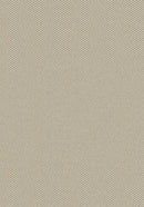 Parkdale Taupe Imagine Figurative Collection Area Rug