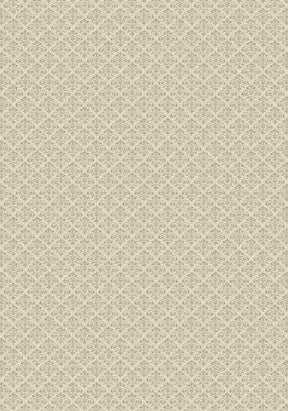 Stencils Muslin Imagine Figurative Collection Area Rug