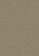 Tabinet Bronze Imagine Figurative Collection Area Rug