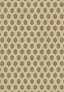 Veneto Gold Amber Imagine Figurative Collection Area Rug