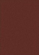 Viewpoint Rustic Red Imagine Figurative Collection Area Rug